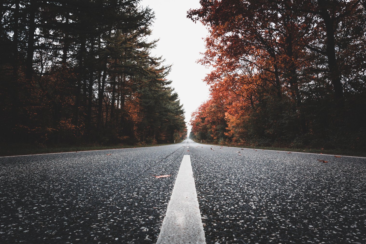 Photo of Road During Daytime